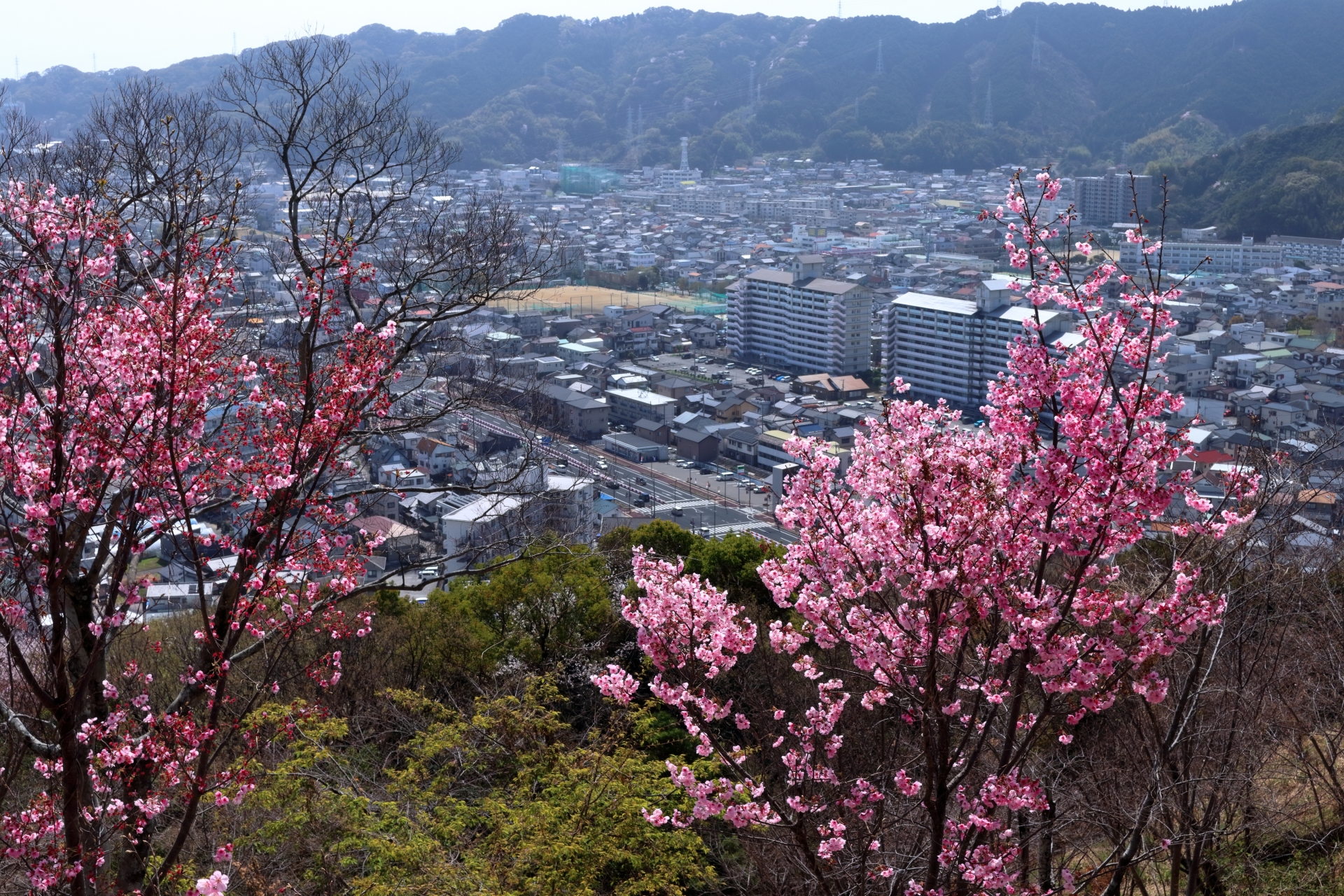 岡山市北区西長瀬のメイン画像