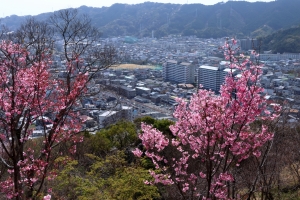 岡山市北区西長瀬の土地情報と快適タウン情報