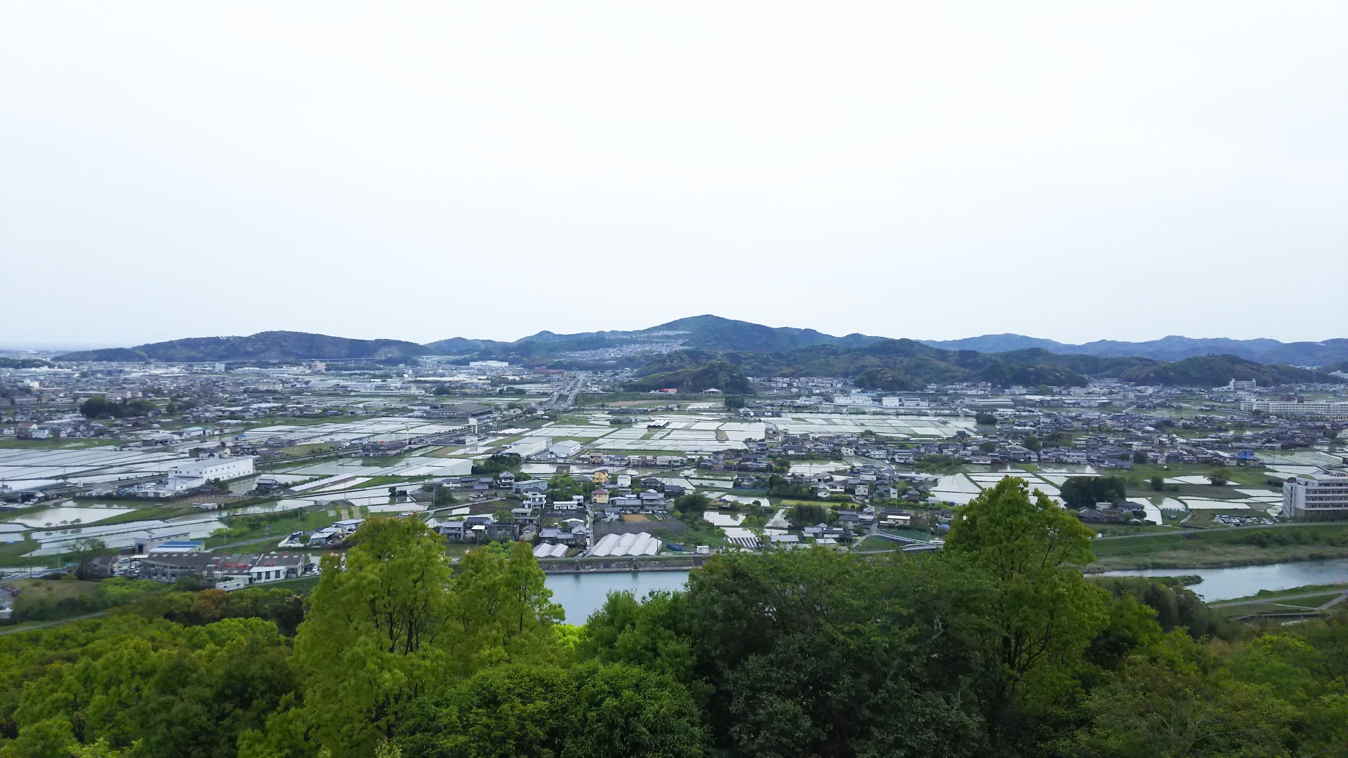 岡山市北区寿町のメイン画像