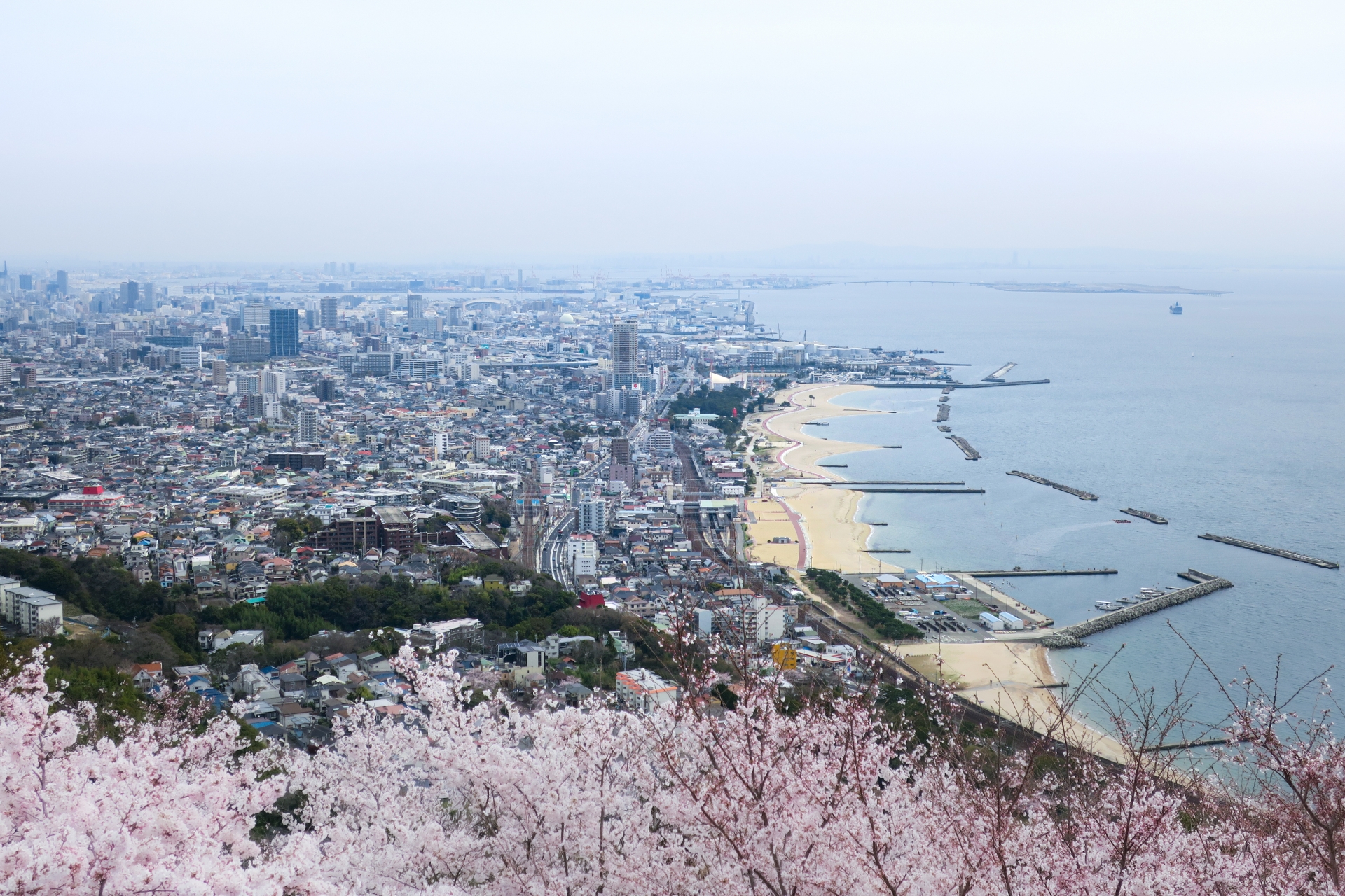 松江市学園南一丁目のメイン画像