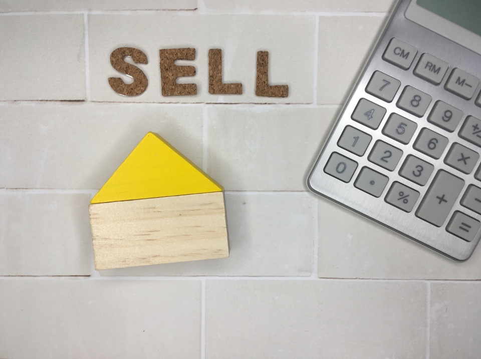 雲南市掛合町多根における土地購入のメリットとデメリット