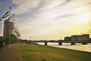 西伯郡伯耆町大内の土地と生活お役立ち情報